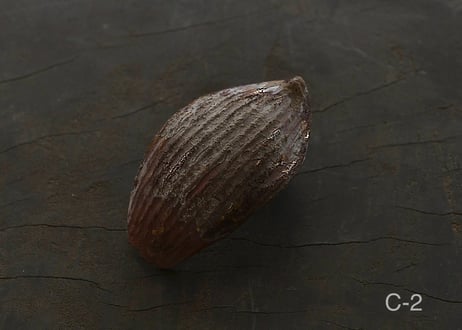 蓮弁 C. 枯漆  微金彩