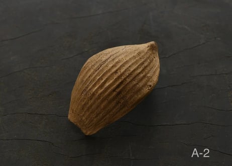 蓮弁 A. 金彩