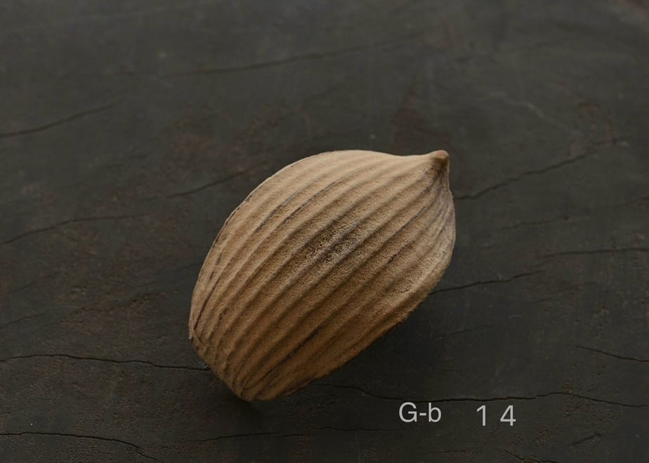 657bc0711d3bd9087f5a60ab