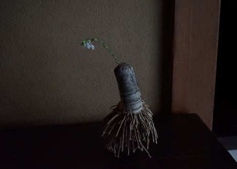 hakomono / 3-5 掛け花入 流れ竹根 2