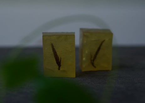 ⑵ 10/11 (土) 茶會【 心に咲く古今の美  〜呉 偉康 〜 】