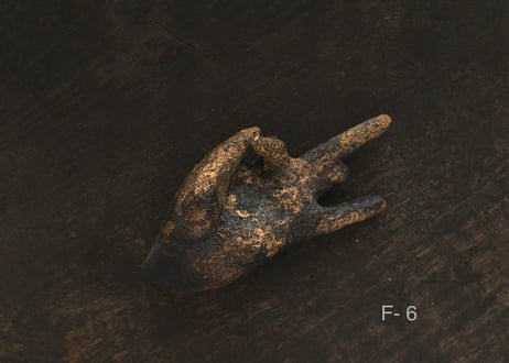 佛手 F.  金彩