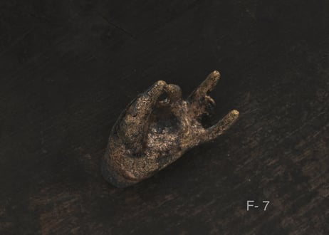 佛手 F.  金彩