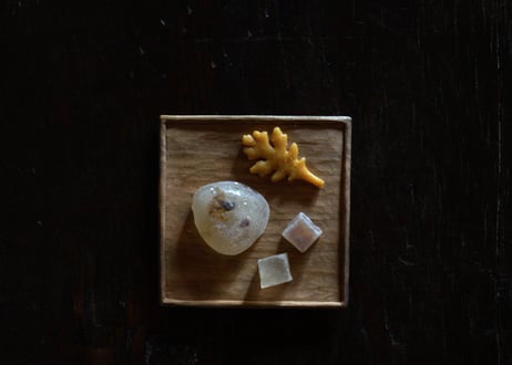 菅野 和正 / 27　【 数量限定 受注制 / 納期2〜3ヶ月 】茶托・豆皿　桜  鉄媒染  / 無垢