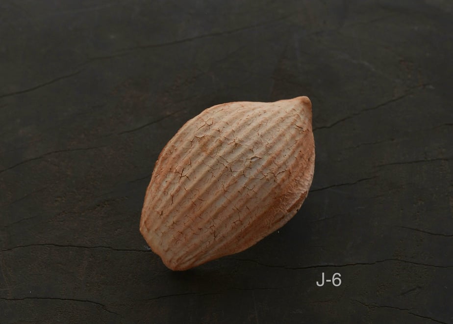 657bce4cb14f5809ca045729