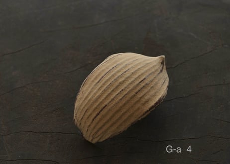 蓮弁 G-a. 伽羅