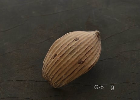 蓮弁 G-b . 伽羅