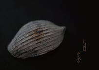 B. 茶の露と蓮弁 ２点セット  〜白茶〜