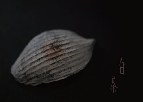 B. 茶の露と蓮弁 ２点セット  〜白茶〜