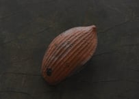 蓮弁  K-a  唐茶