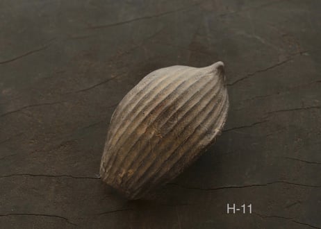 蓮弁 H. 白銀鼠