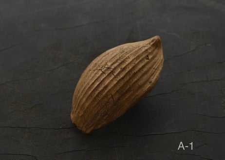 蓮弁 A. 金彩