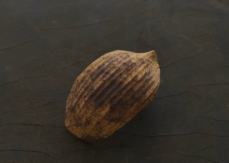 蓮弁  B. 枯金彩