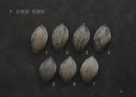 蓮弁 F. 白銀鼠  枯銀彩