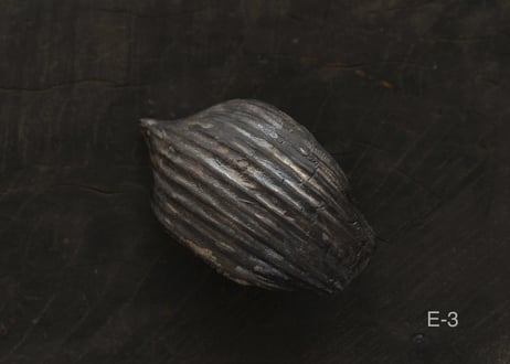 蓮弁 E. 銀彩