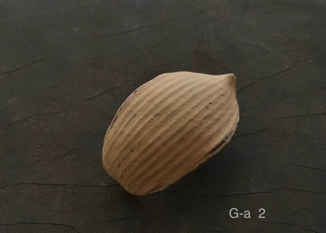 蓮弁 G-a. 伽羅