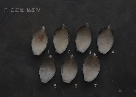蓮弁 F. 白銀鼠  枯銀彩