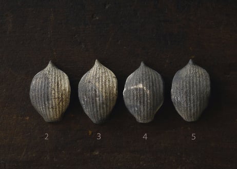 B. 茶の露と蓮弁 ２点セット  〜烏龍茶〜