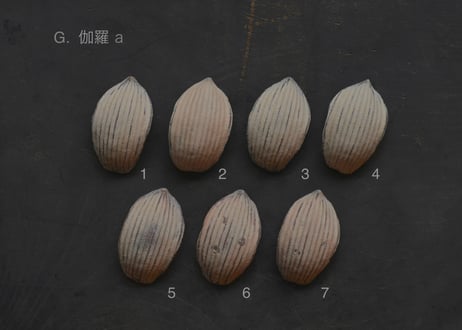 蓮弁 G-a. 伽羅