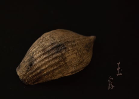 B. 茶の露と蓮弁 ２点セット  〜玉露〜