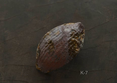 蓮弁  K-b  唐茶