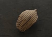 蓮弁 D. 伽羅 微金彩