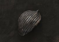 蓮弁 E. 銀彩