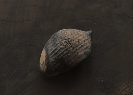 蓮弁 M . 炭化黒　窯変