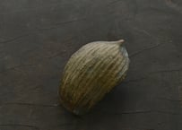 蓮弁 N .  黄銅・緑青