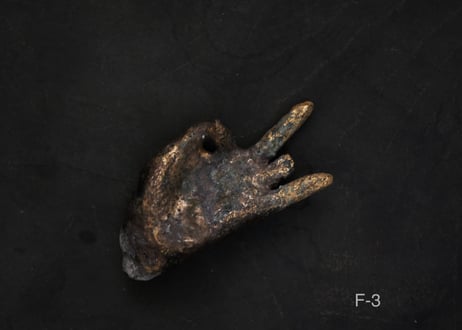 佛手 F.  金彩