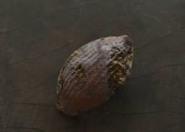 蓮弁  K-b  唐茶