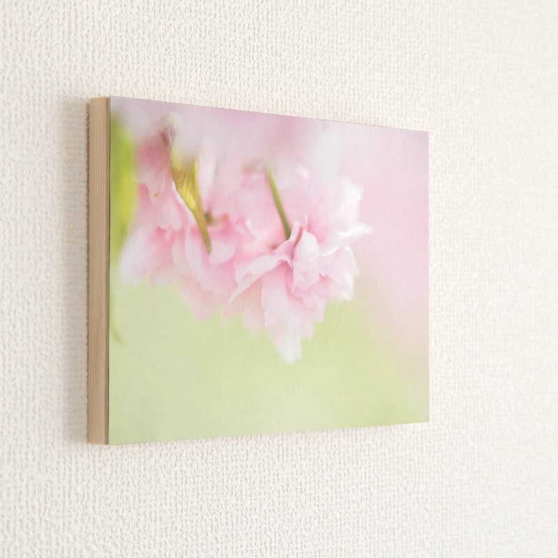 「山桜　雨」アート作品　写真　木製パネル貼り　910㎜×910㎜×30㎜ 山桜 雨」アート作品 写真 木製パネル貼り 910㎜×910㎜×30㎜ 山桜 雨