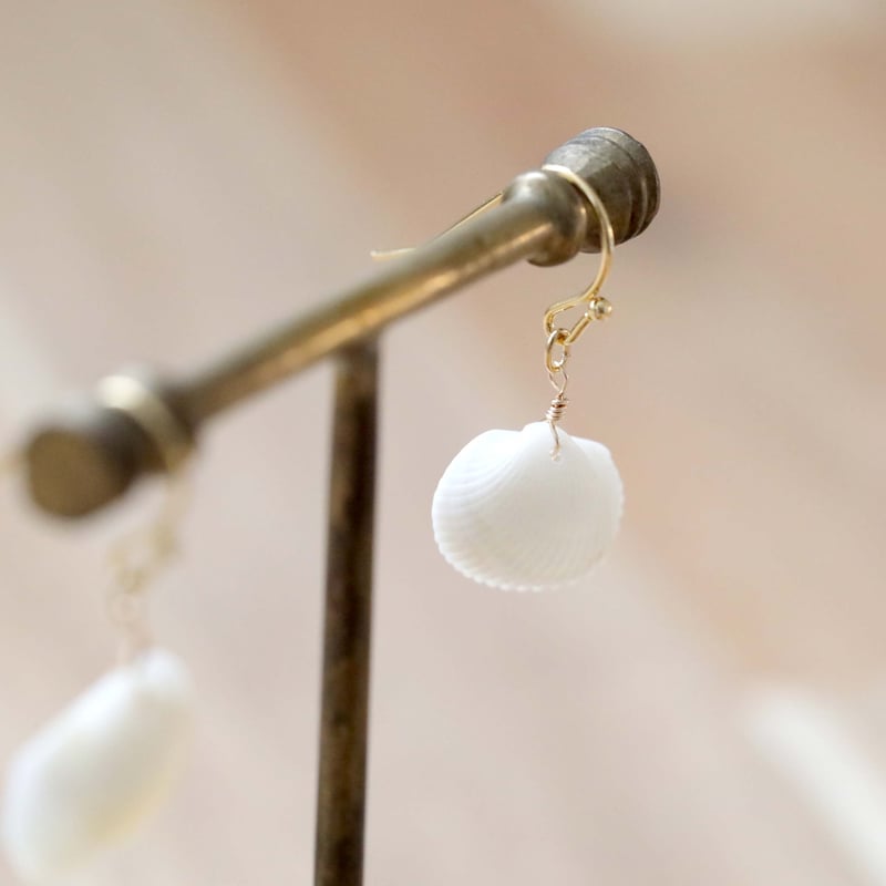 白い貝殻のイヤリング・ピアス | 創作工房 あめつち薫る