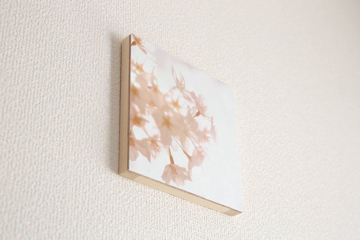 「山桜　雨」アート作品　写真　木製パネル貼り　910㎜×910㎜×30㎜ 和紙と木のインテリアフォトパネル / 桜光 | 創作工房 あめつち薫る