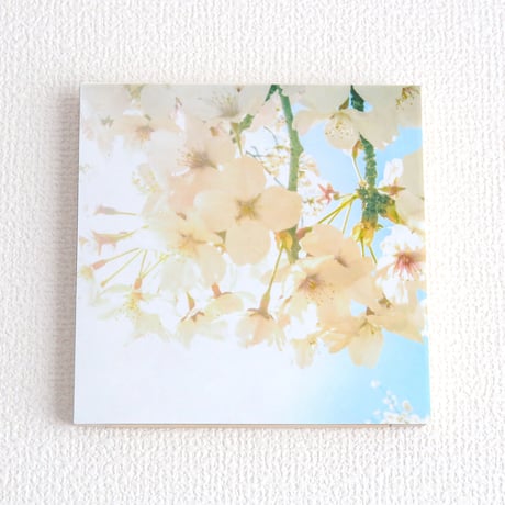 和紙と木のインテリアフォトパネル / 青空と桜