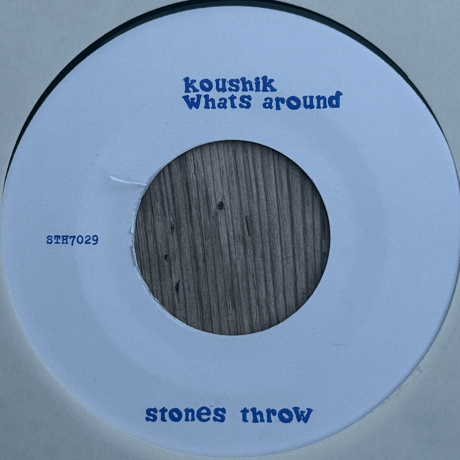 Koushik/Lying in the Sun -7inch-