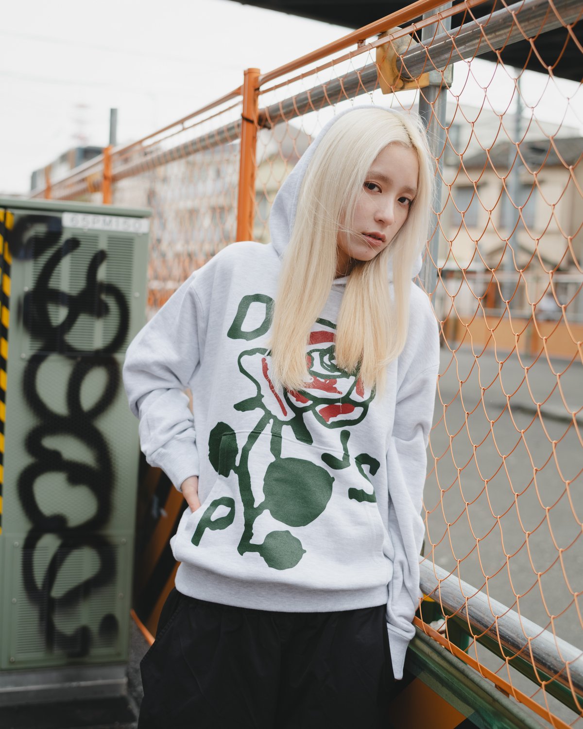 diaspora skateboards switchover セットアップ Diaspora skateboards セットアップ - メルカリ