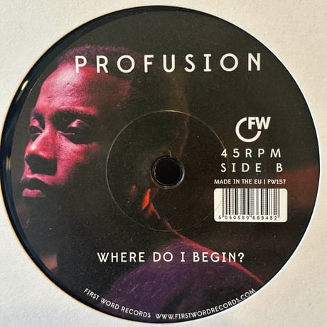 Profusion (K15 & Emeson)/Flying/Where Do I Begin?-7inch-