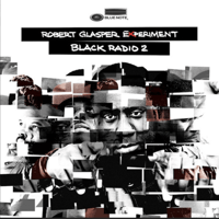 Robert Glasper Experiment/Black Radio 2-2LP-