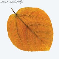 PETE JOLLY/Seasons-LP-(Colored Vinyl)