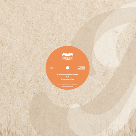Dhrma /Sunday I Was Empty, Might Cry With Demon-12inch-
