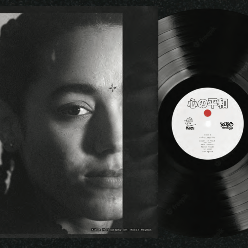 QTHREE x BUDAMUNK/Peace of Mind-LP- | Jazzy Spo