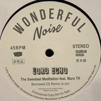 LORD ECHO/The Sweetest Meditation feat. MARA TK (Borrowed CS remix)