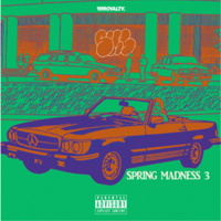 DJ KIYO「SPRING MADNESS 3 -Mix CD-