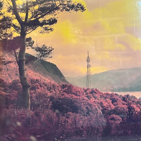 Bonobo/Black Sands Remixed -3LP-