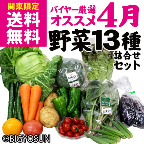 【2098】バイヤー厳選　4月のオススメ野菜詰め合せ　13種セット　☆毎週金曜発送☆