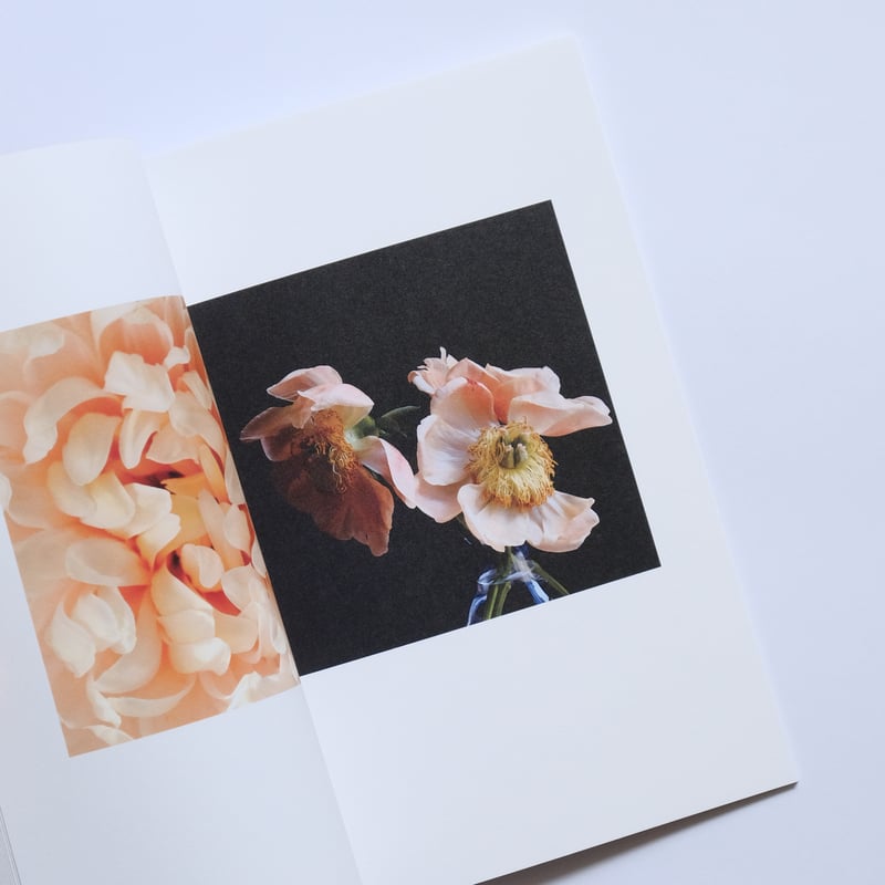 ZINE 】FLOR - PEACH FUZZ - | YUURI TAKAHASHI