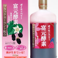 世界初！ナノバブル水素配合 スキンHウォータージェルⅡ | 日本橋