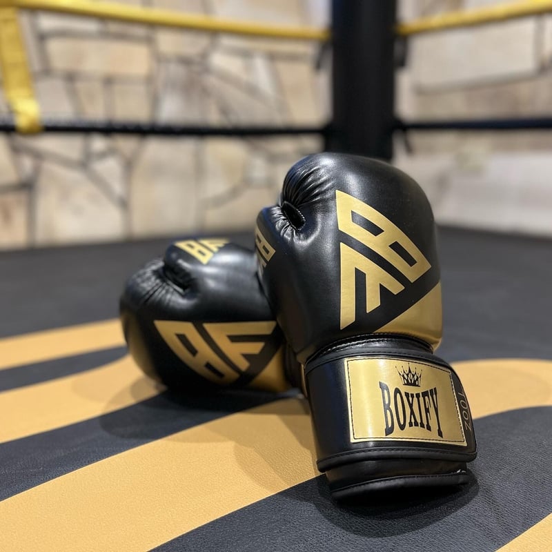 ボクシンググローブ10 OZ