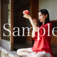 「昼想い、夜夢む」写真集データ